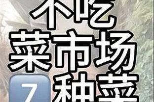 雷竞技app合法吗